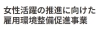 女性活躍の推進に向けた雇用環境整備促進事業